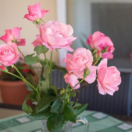 Apartment Timea Dubrovnik Eksteriør bilde
